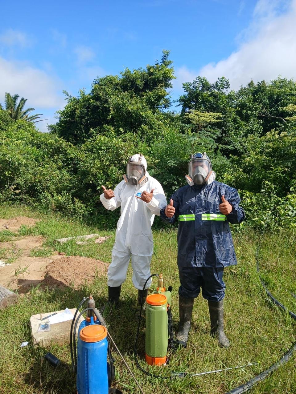Phytosanitary treatment application using personal protective equipment.