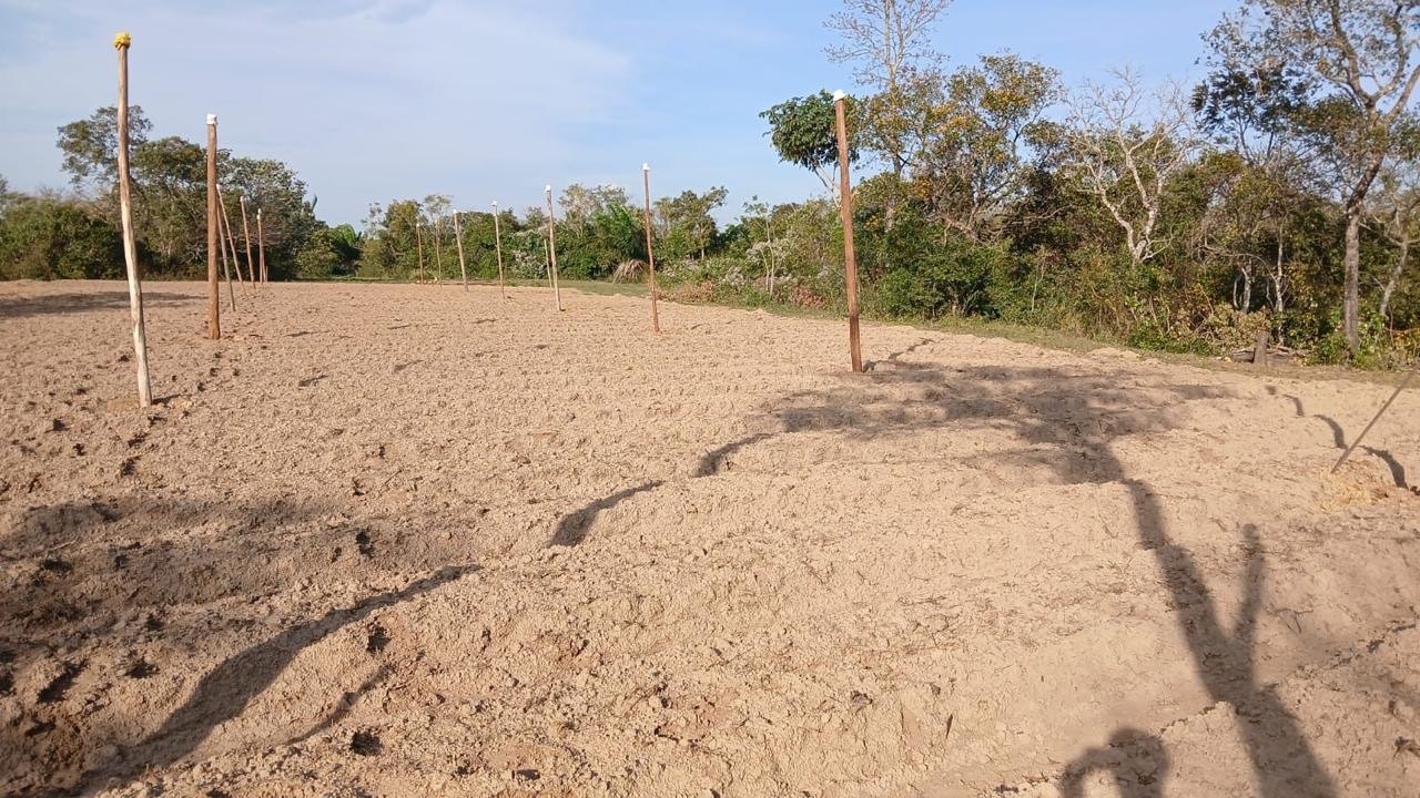 Land preparation and post installation for the production structure.