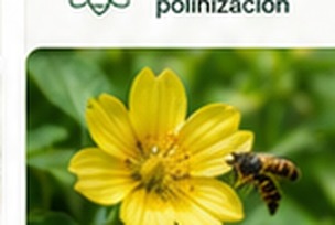 Polinización de flores