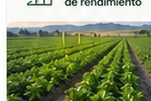 Cultivo hortícola para optimización de rendimiento